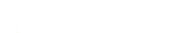 light logo