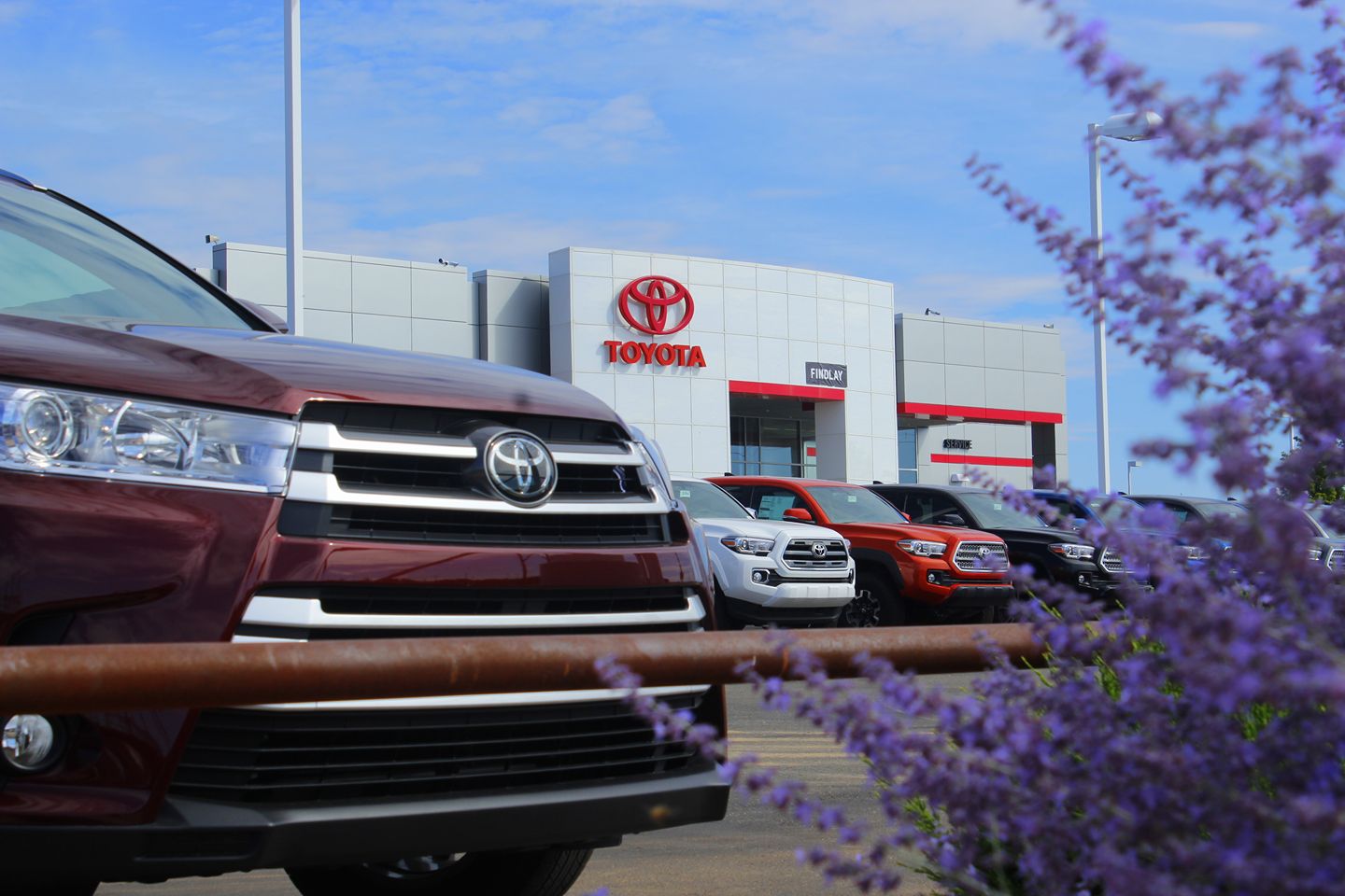 Findlay Toyota Prescott - A Dealership Success Story by DataClover - Featured Image